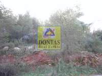 תמונת מגרש, דיוניסוס, אתונה למכירה (2)