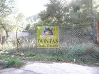 תמונת מגרש, דיוניסוס, אתונה למכירה (3)