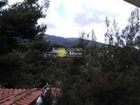 תמונת דופלקס, דיוניסוס, אתונה למכירה (4)