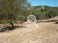 תמונת מגרש, לפקדה למכירה (3)