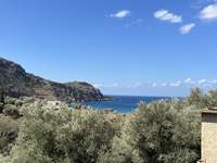 Image 5 of 7
