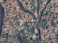 תמונת דיוניסוס למכירה (2)