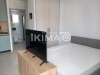 תמונת סטודיו, פוליגירוס למכירה (3)