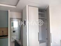 תמונת סטודיו, פוליגירוס למכירה (4)