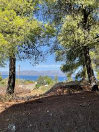 Image 14 of 19