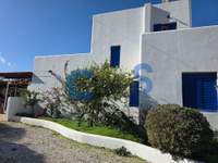 תמונת אפוקורנס, כרתים למכירה (2)