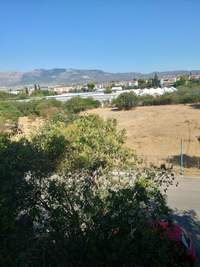 תמונת דירה, פפקי למכירה (3)