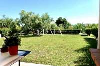 תמונת בית, קסנדרה למכירה (2)