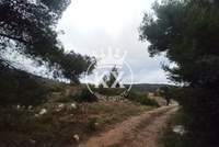 תמונת מגרש, אורופוס למכירה (3)