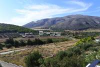 תמונת קורופי למכירה (3)