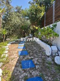 Image 7 of 25