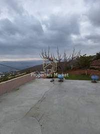 Image 9 of 25