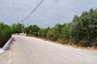 Image 16 of 20
