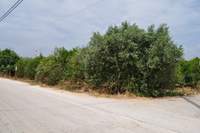 Image 13 of 20