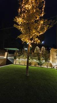 תמונת בית, דיוניסוס, אתונה למכירה (4)