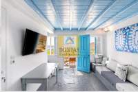 תמונת דופלקס, סריפוס למכירה (1)