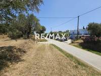 Image 10 of 14