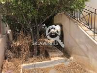 תמונת בניין, ספטה ארטמידה למכירה (4)