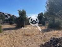 תמונת מגרש, ספטה ארטמידה, אתונה למכירה (3)