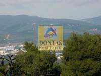 תמונת מגרש, דיוניסוס למכירה (2)