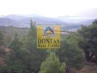 תמונת מגרש, מרתון למכירה (2)