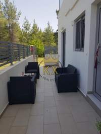 תמונת דירה, דיוניסוס למכירה (2)