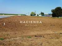 תמונת שטח חקלאי, נאה פרופונדיטה למכירה (2)