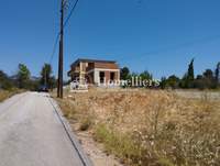 תמונת דופלקס, אורופוס למכירה (4)