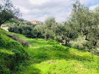 תמונת זקינתוס למכירה (3)