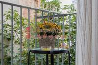 תמונת סטודיו, אקסרחיה, אתונה למכירה (3)