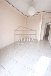 תמונת תרמיקוס למכירה (2)