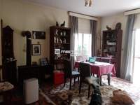 תמונת ליקובריסי למכירה (4)