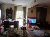 תמונת ליקובריסי למכירה (3)