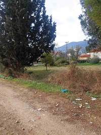 תמונת מגרש, גליקה נרה, אתונה למכירה (4)