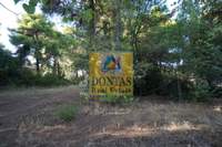 תמונת מגרש, קיפיסיה למכירה (1)