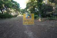 תמונת מגרש, קיפיסיה למכירה (4)