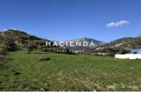 תמונת אגיוס וסיליוס למכירה (2)