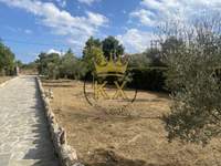 תמונת בית, אורופוס, אתונה למכירה (4)