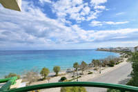 תמונת קסילוקסטרו ואברוסטינה, פלופונס למכירה