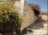 תמונת , אסטרוזיה למכירה (3)