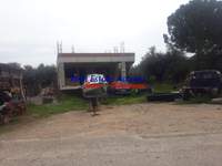 תמונת איגאליאה, פלופונס למכירה (2)