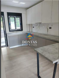 תמונת פפקי, אתונה למכירה (2)