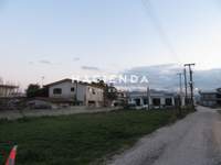 תמונת לחאיו, קורינתיה למכירה (2)