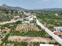 תמונת שטח חקלאי, נאפפליו, פלופונס למכירה (2)