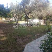 תמונת דירה, מרתון, אתונה למכירה (3)