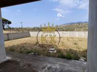 תמונת בית, דיוניסוס, אתונה למכירה (4)