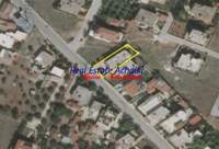 תמונת קורינתיה, פלופונס למכירה (2)