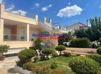 תמונת קורינתיה, פלופונס למכירה (4)