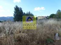 תמונת מגרש, קיפיסיה למכירה (4)