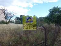 תמונת מגרש, קיפיסיה למכירה (1)